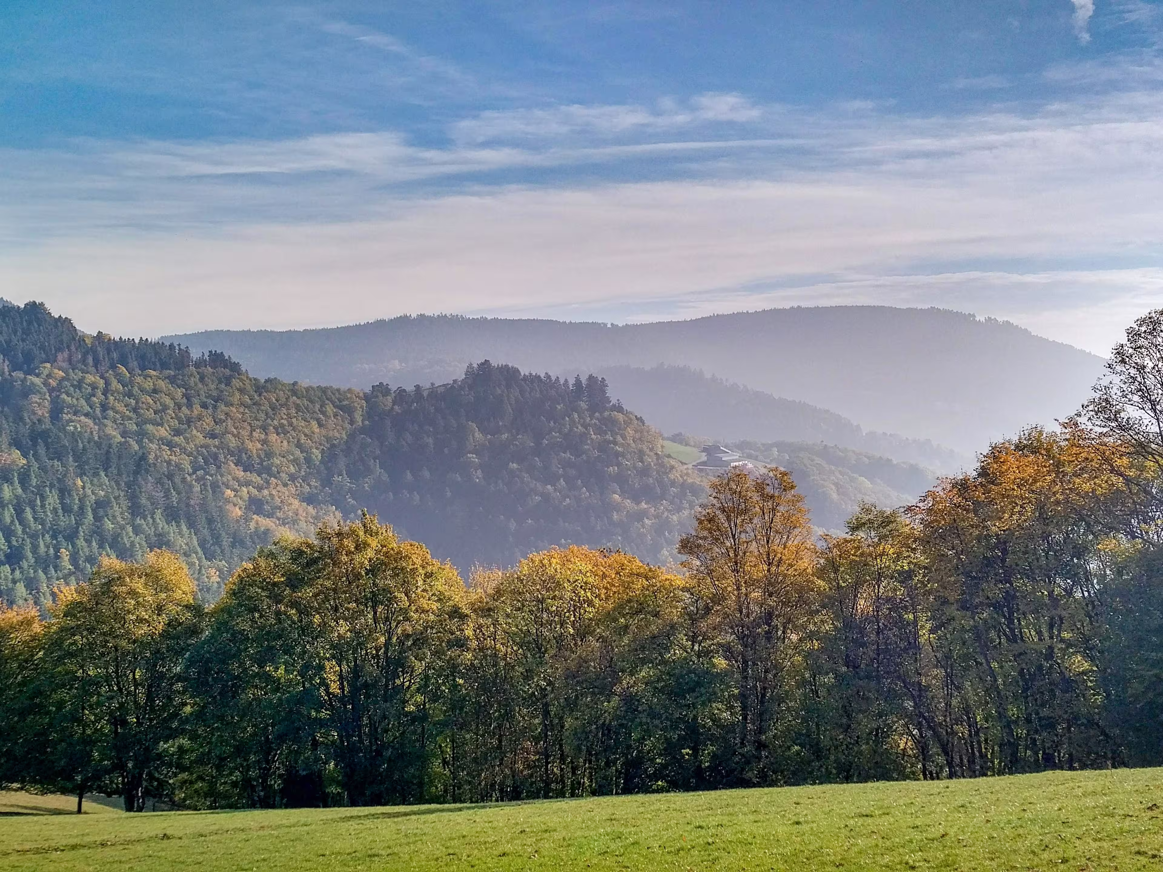 morning in a misty autumn day, Vosges, Alsace, France