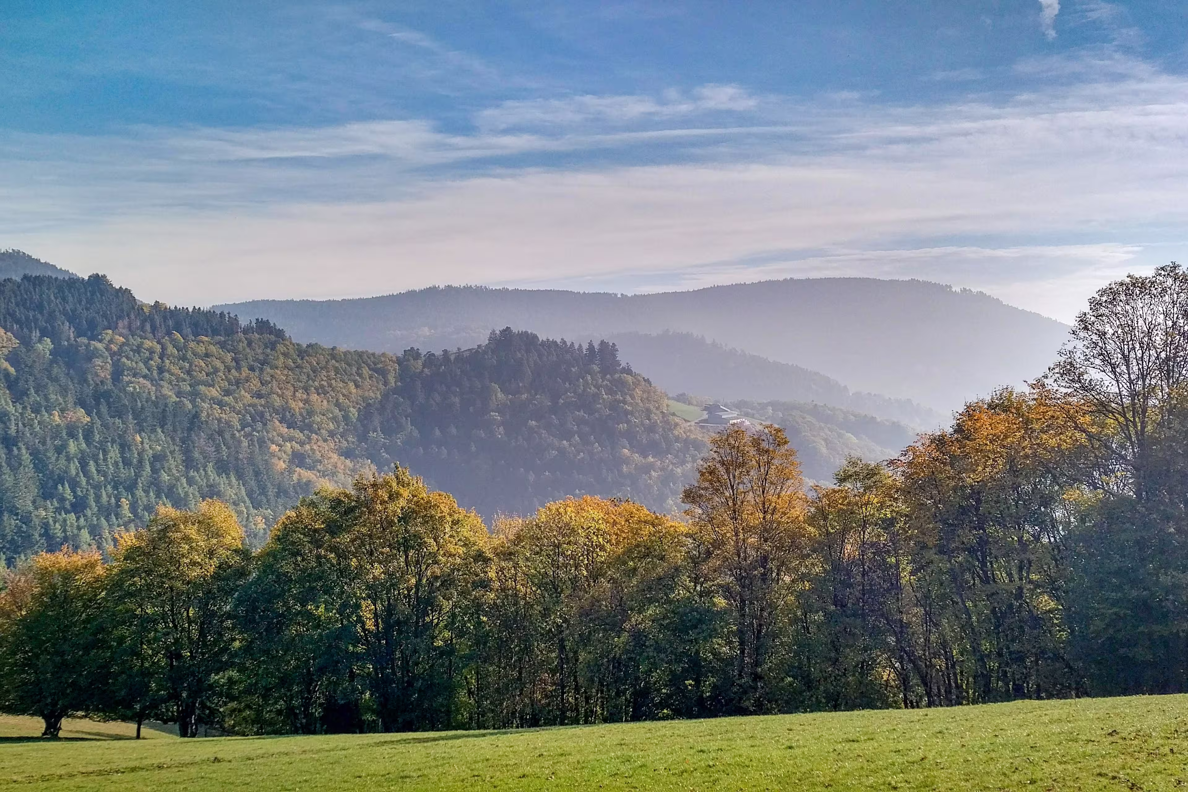 morning in a misty autumn day, Vosges, Alsace, France