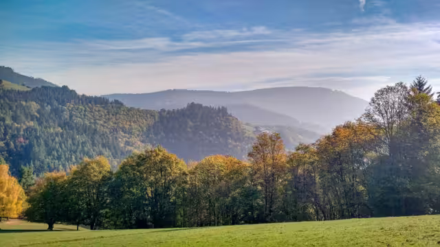 morning in a misty autumn day, Vosges, Alsace, France
