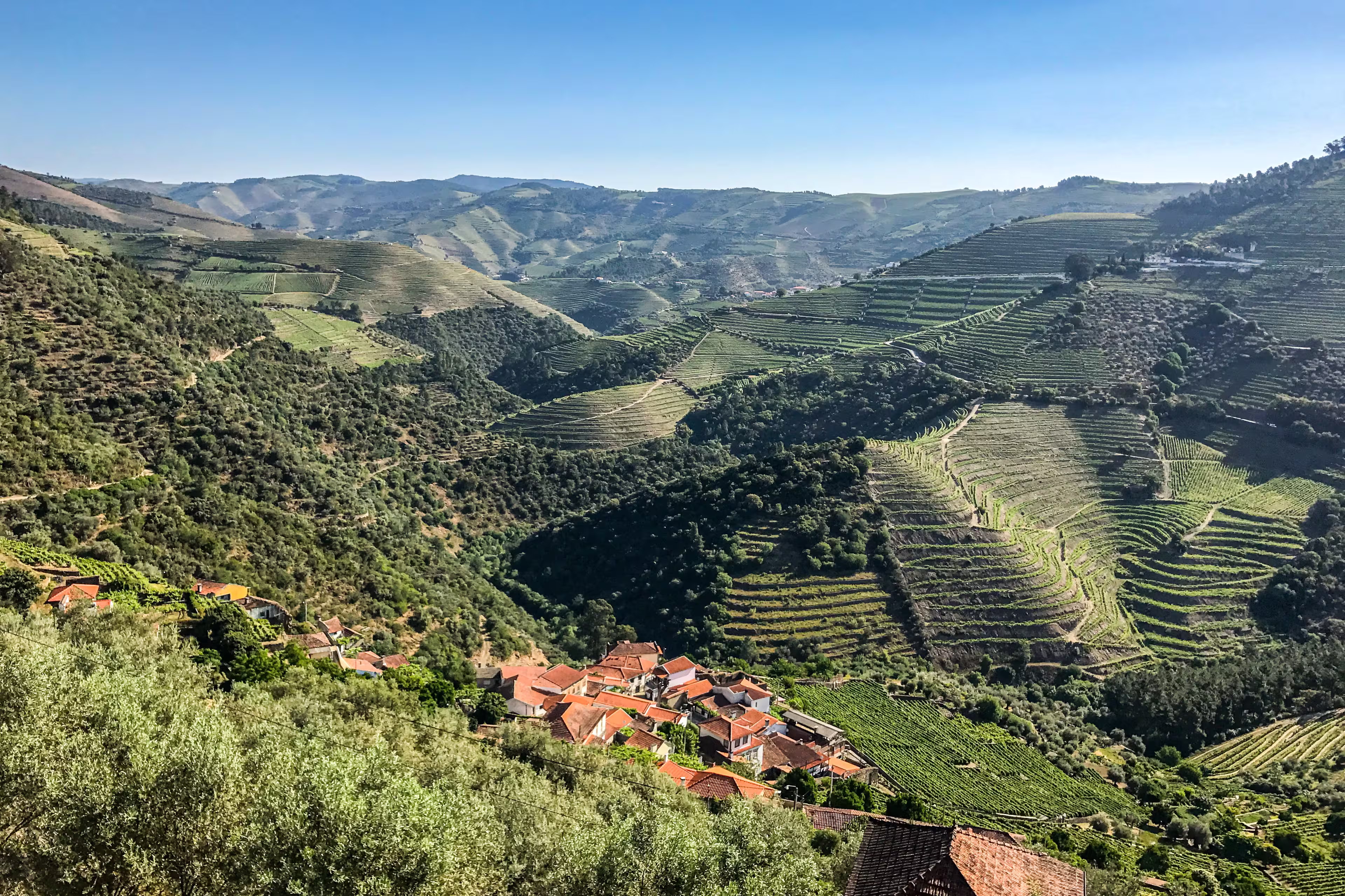 Portugal - Kurztour Porto & Douro (Komfort-Variante)