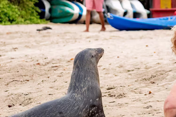 Peru & Galapagos Explorer - 1