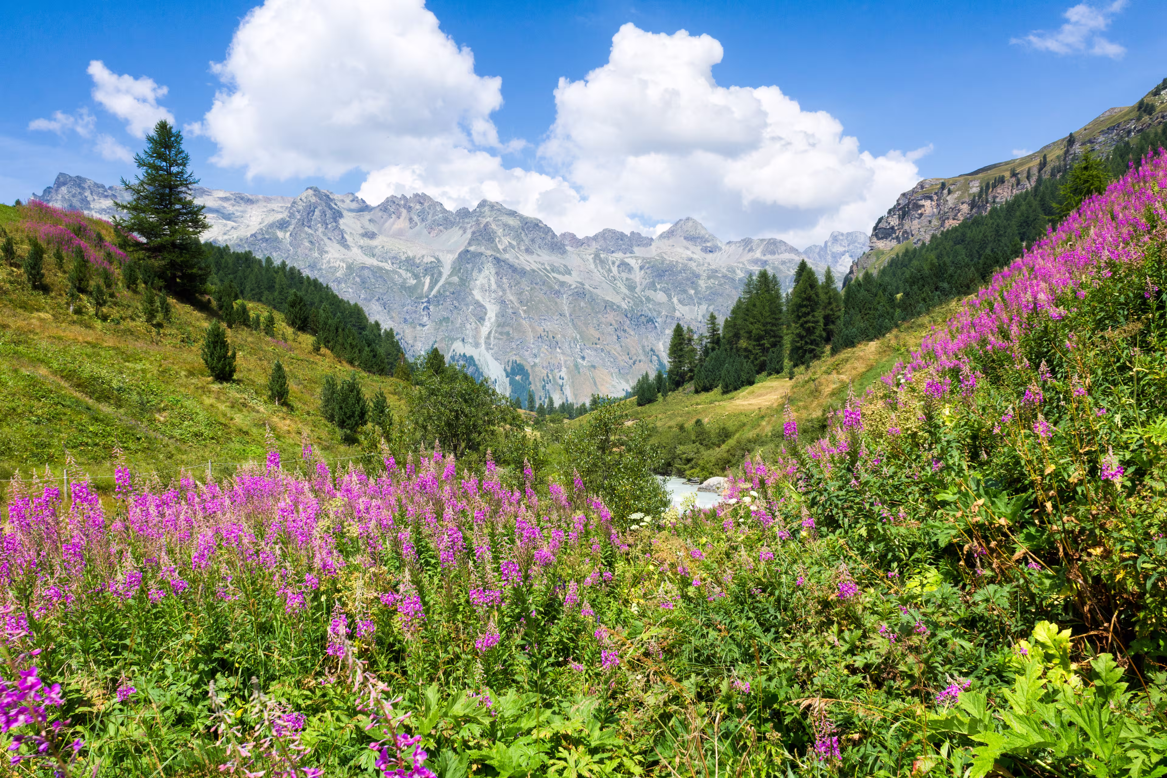 St. Moritz - Innsbruck - 7 Tage Radweg am oberen Inn