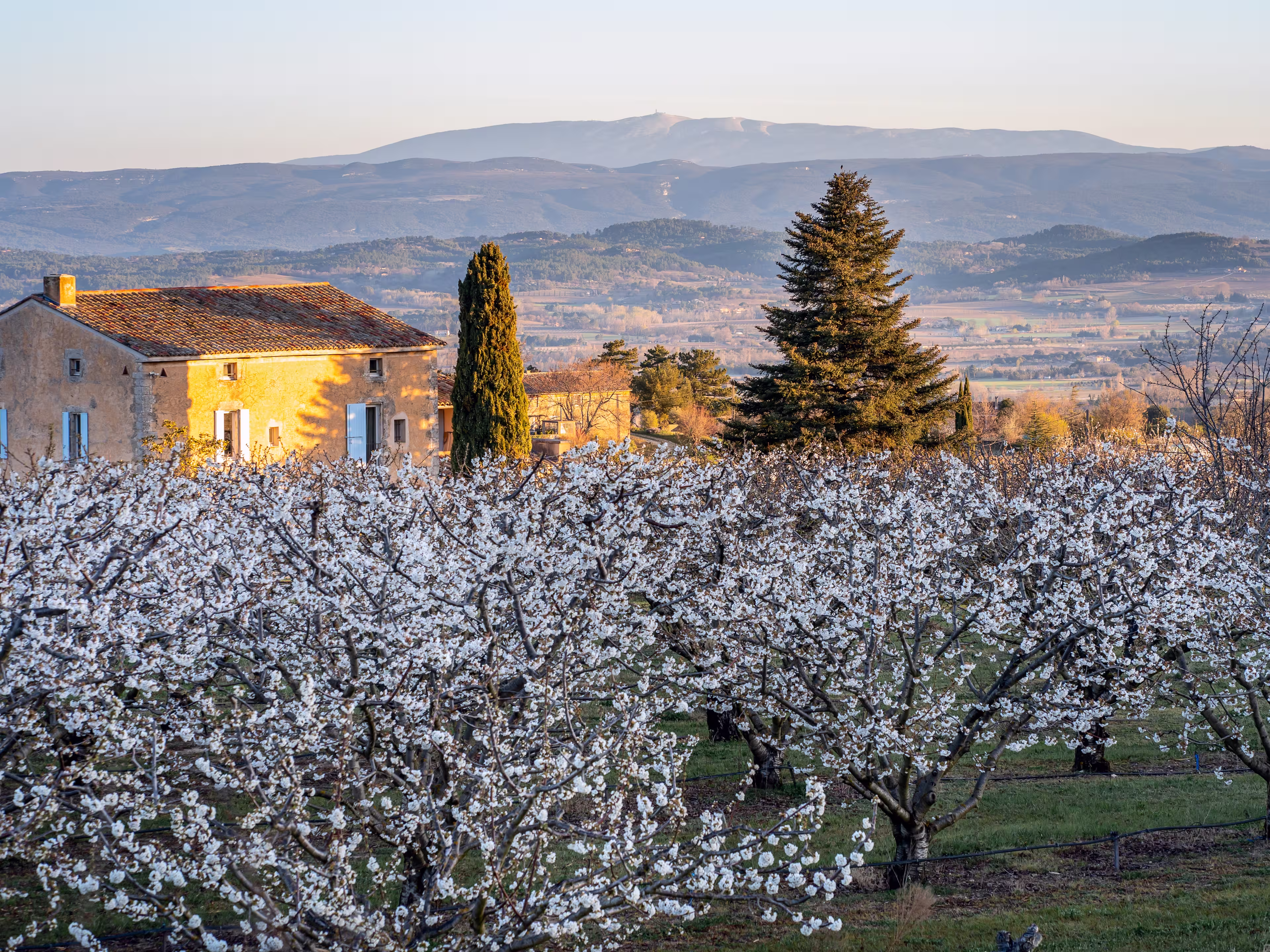 Mont Ventoux Provence