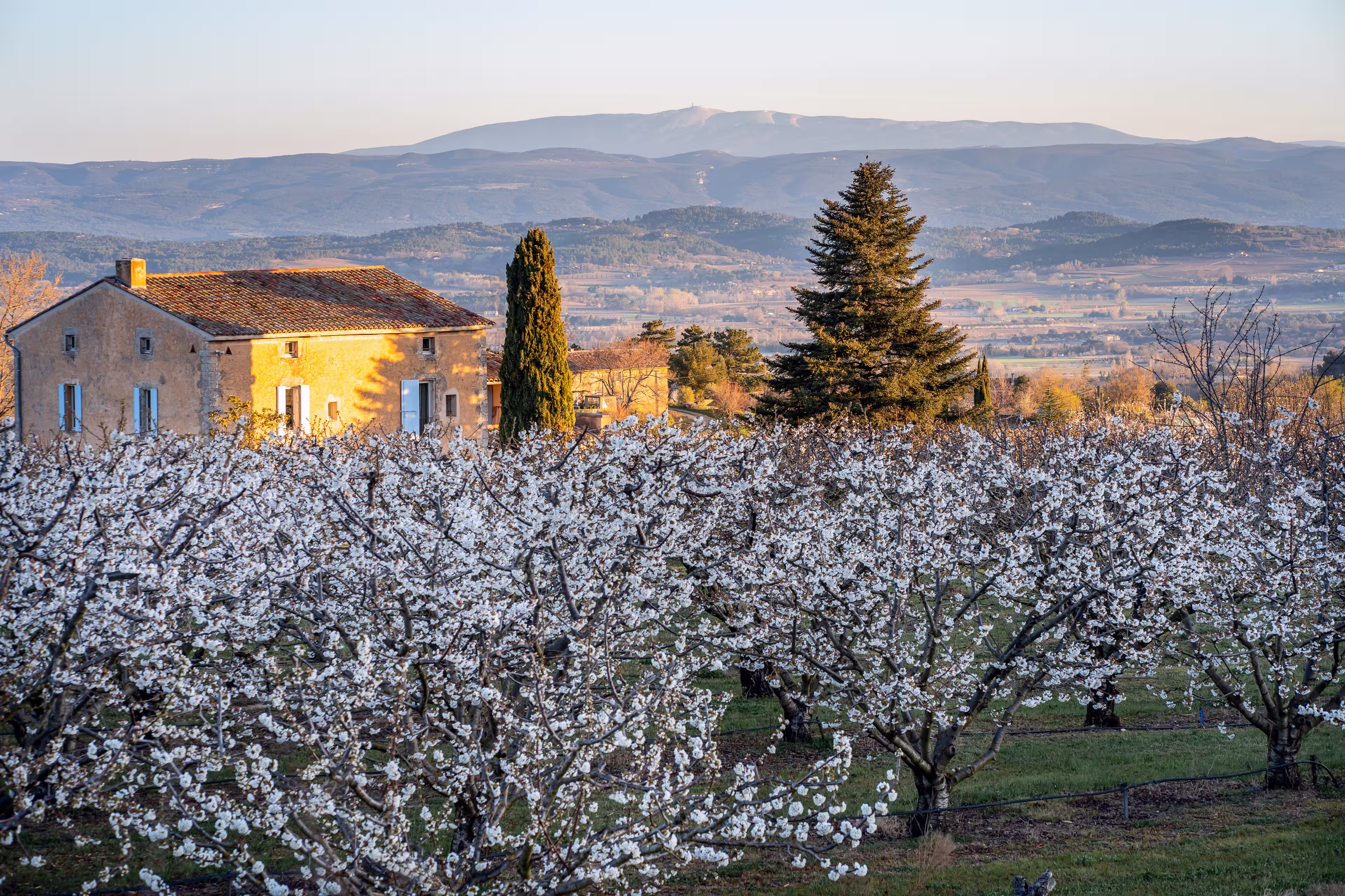 Mont Ventoux Provence