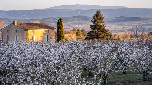 Mont Ventoux Provence