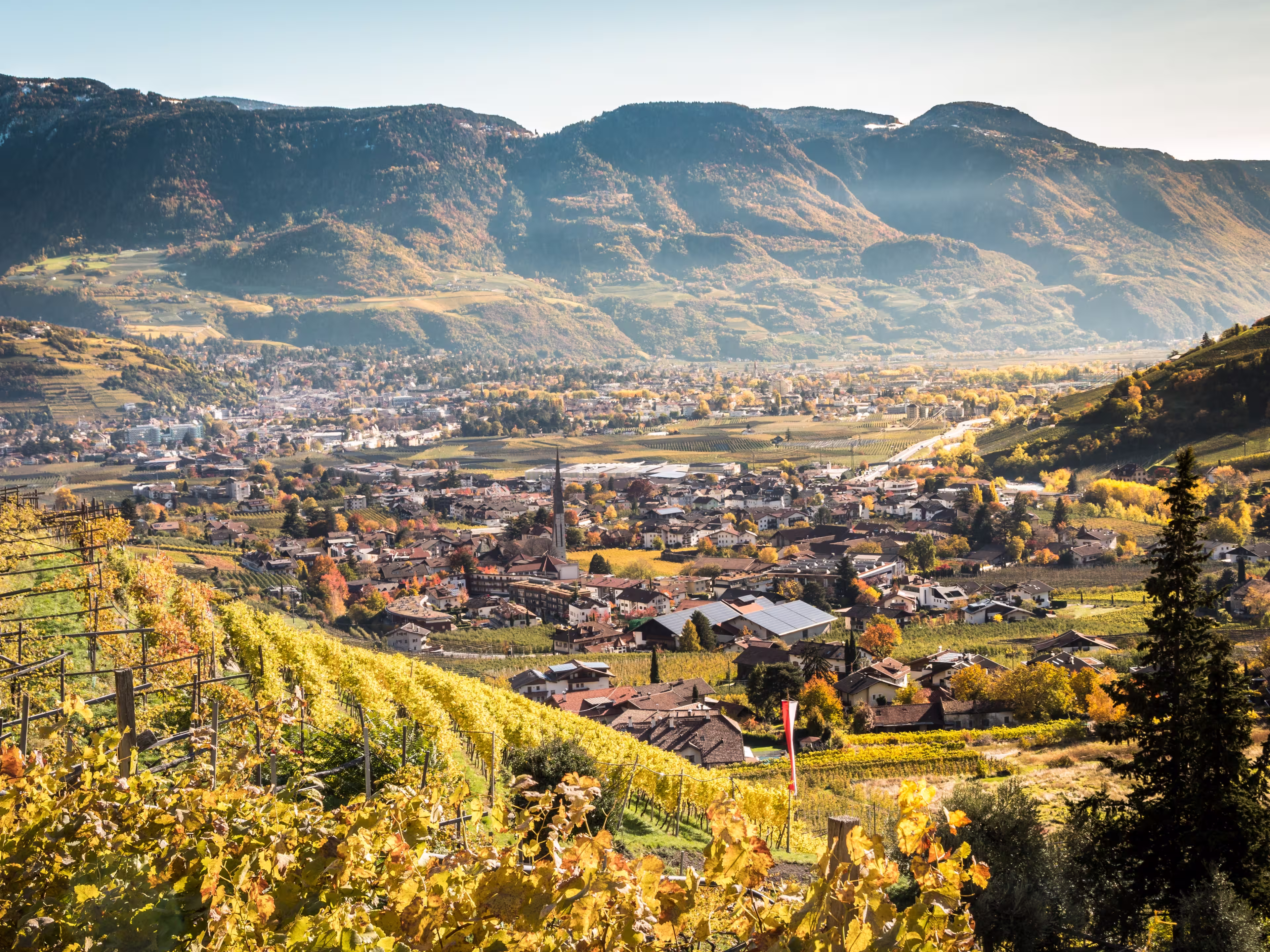 On the Algunder Waalweg (Water path of Lagundo) in Autumn over Merano in South Tyrol - Südtirol - in the alps of Trentino Alto Adige, Italy, Europe
