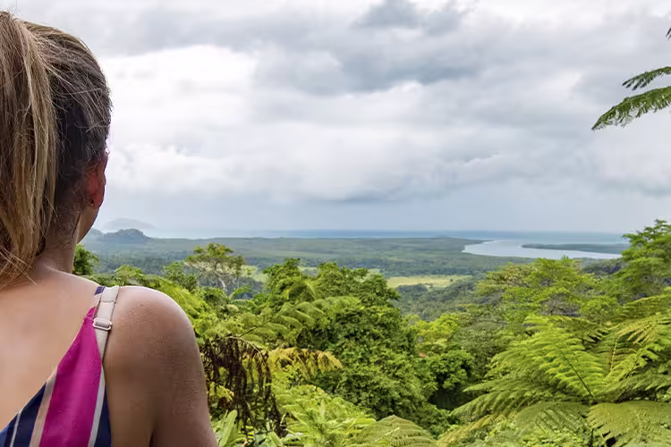 Daintree & Cape Tribulation Adventure - 1