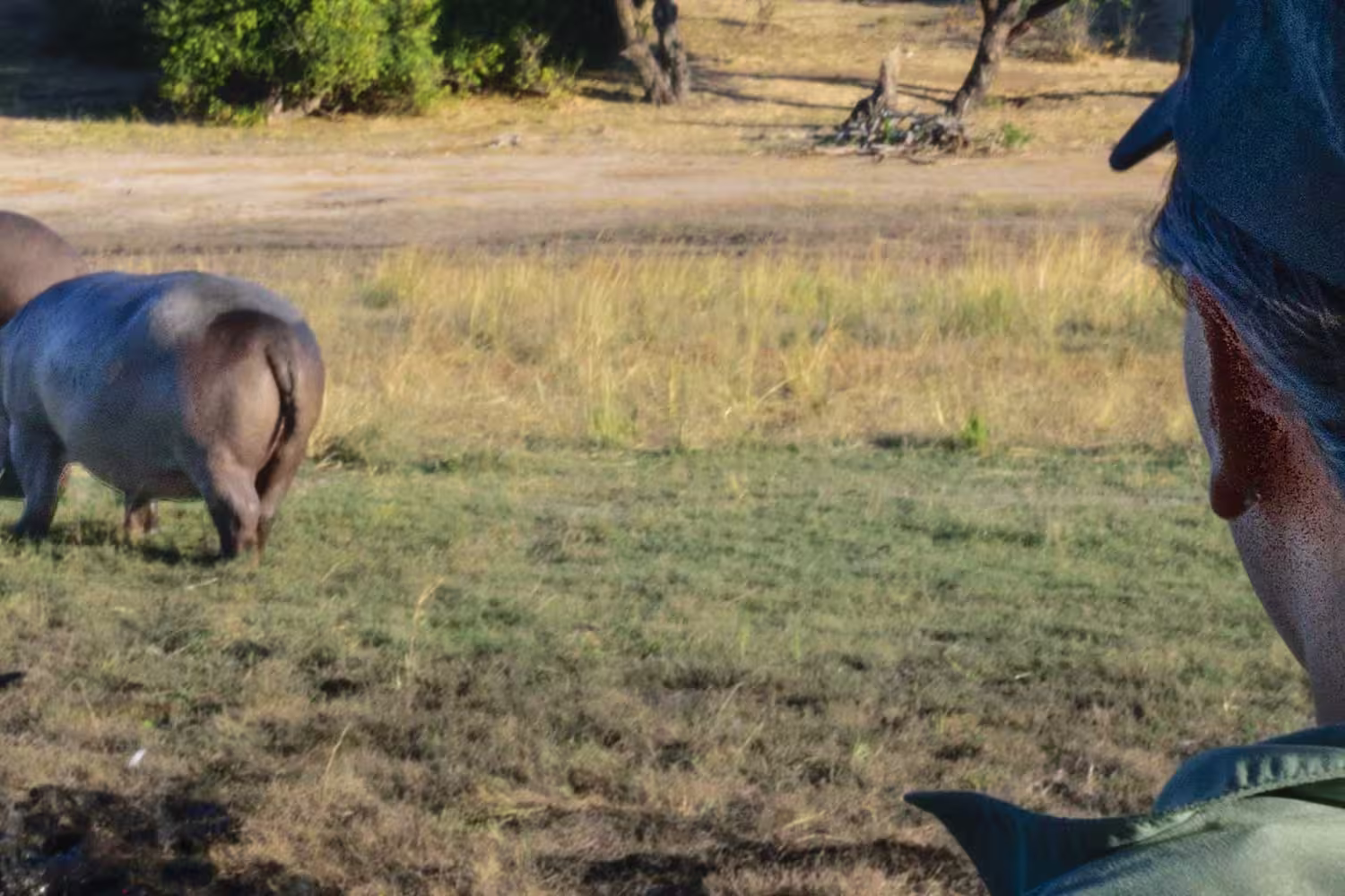 Botswana Adventure - 1