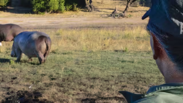 Botswana Adventure with Intrepid Travel