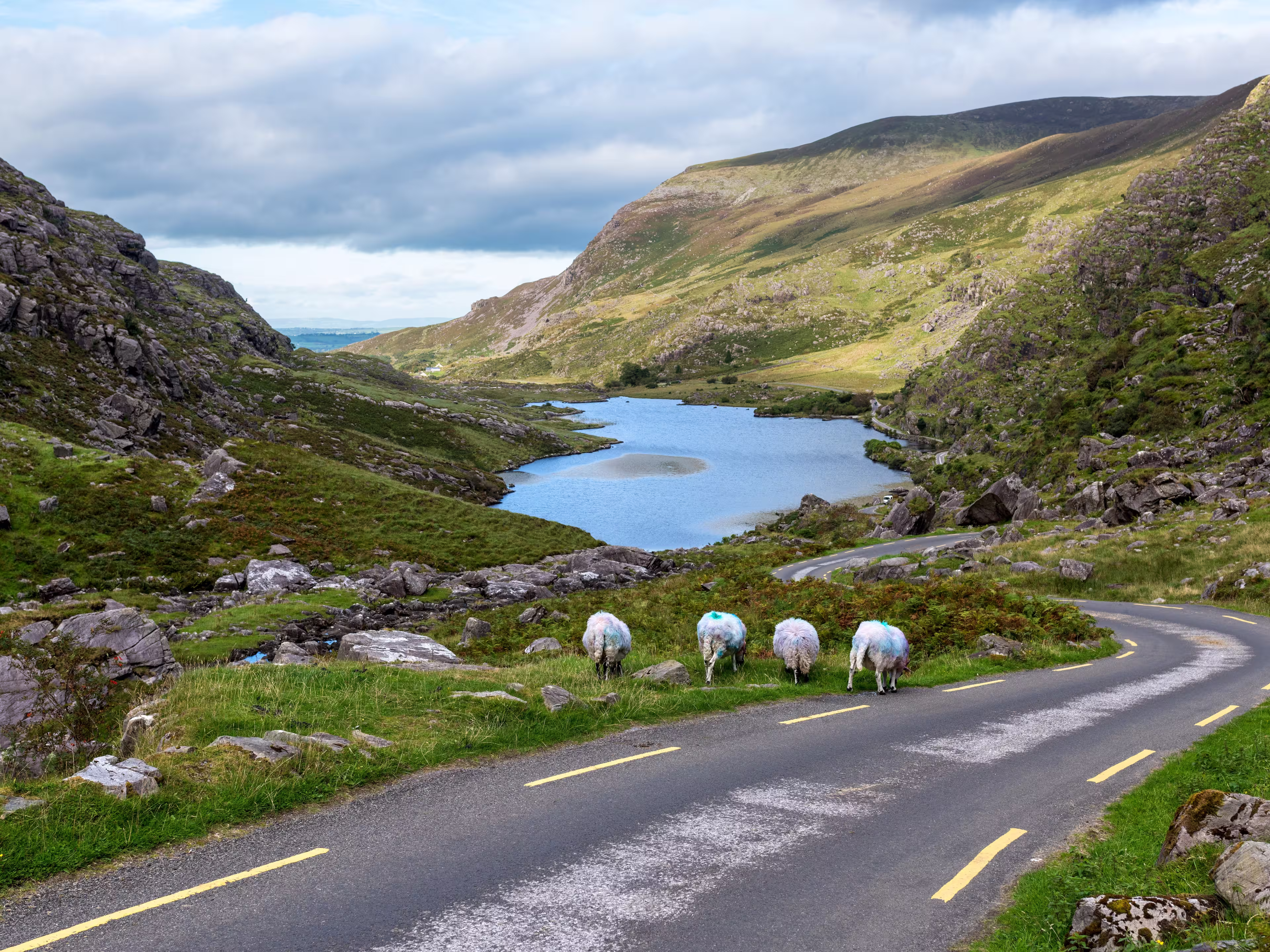 Kerry Way
