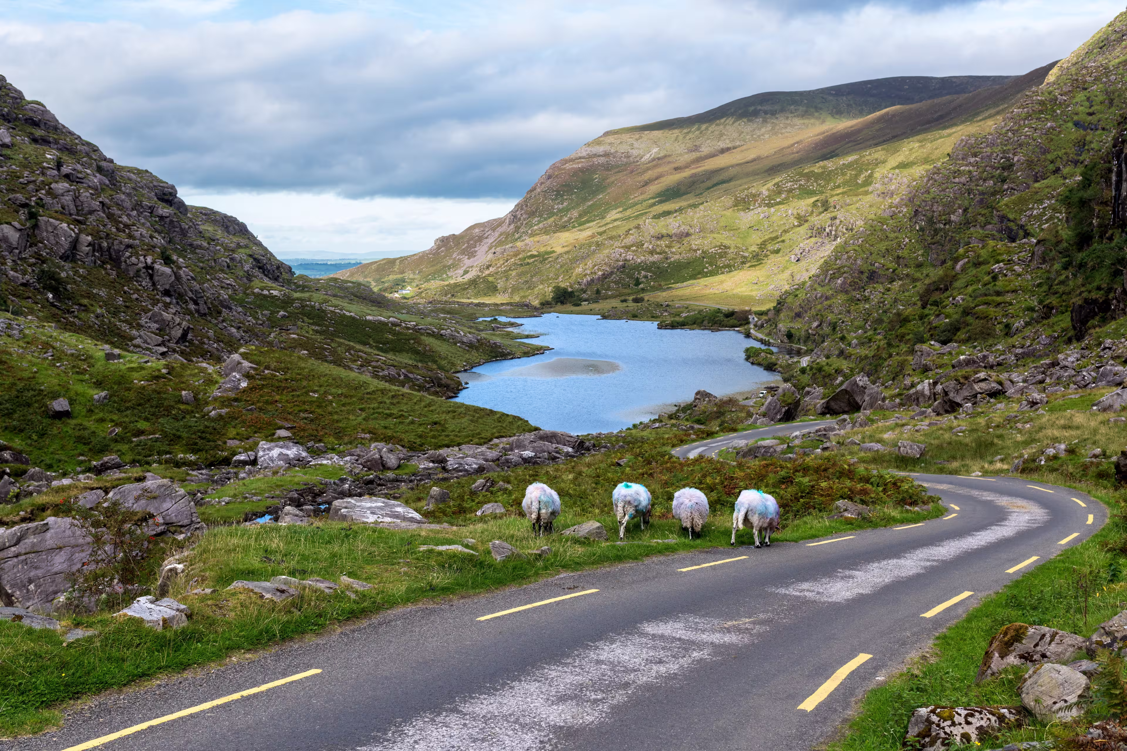 Kerry Way