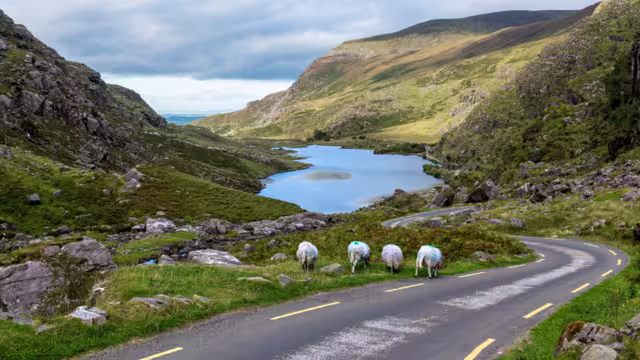 Kerry Way