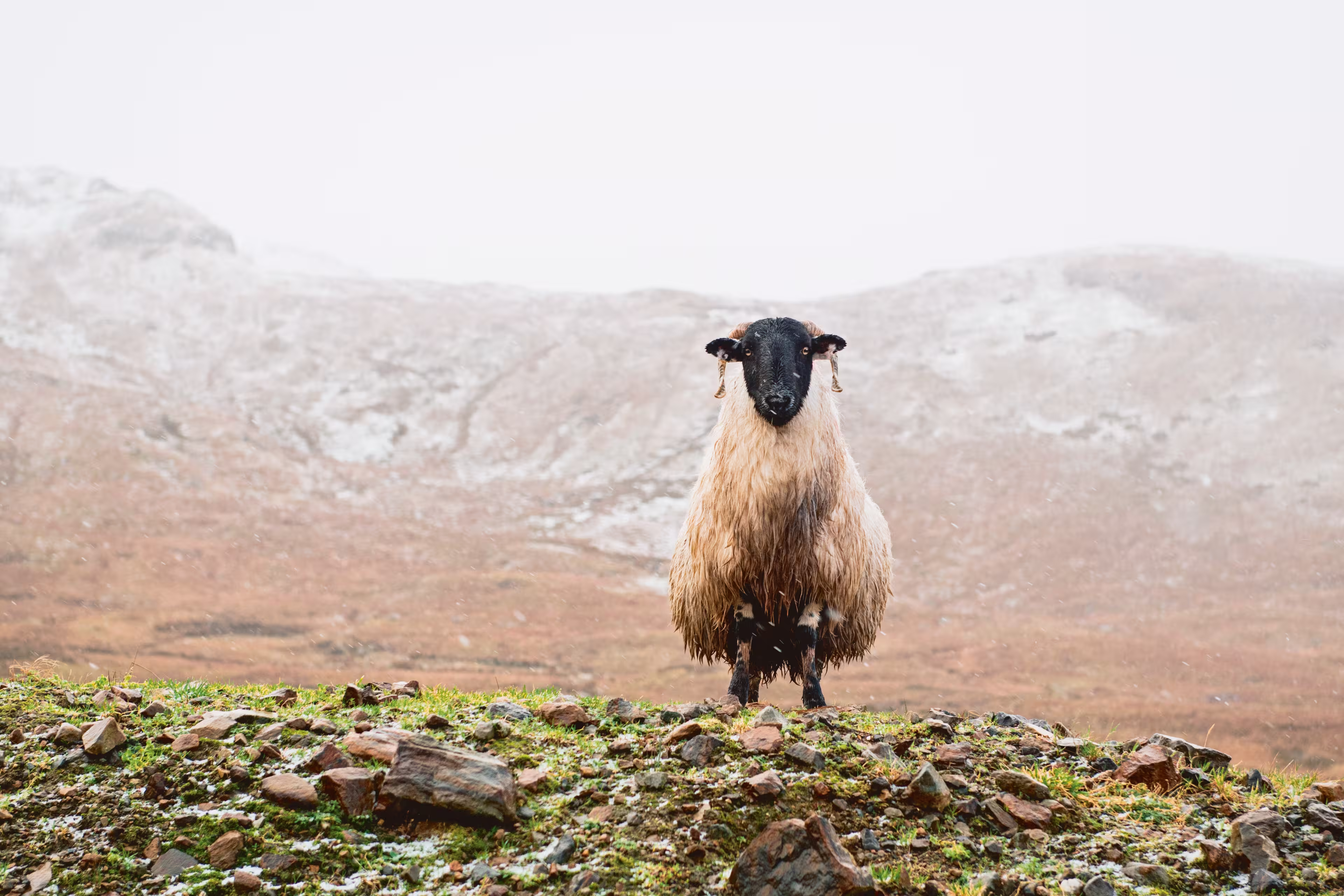 Irland - Donegal Bluestack Way 8 Tage