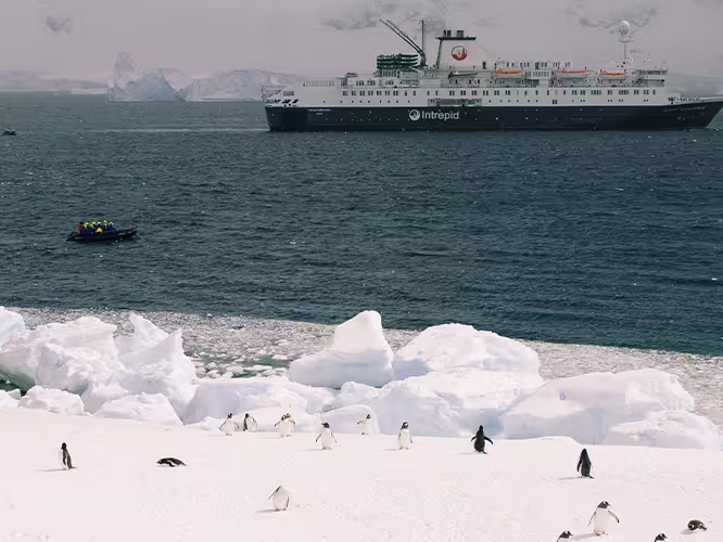Penguins on shore with Antarctic Ocean Endeavour in the background