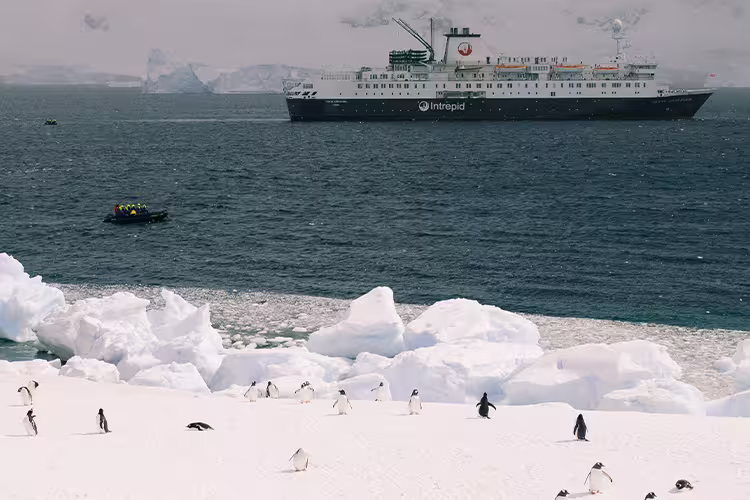 Ultimate Explorer: Falklands, South Georgia & Antarctic Circle (Ocean Nova) - 1