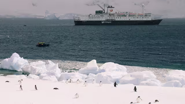 Penguins on shore with Antarctic Ocean Endeavour in the background