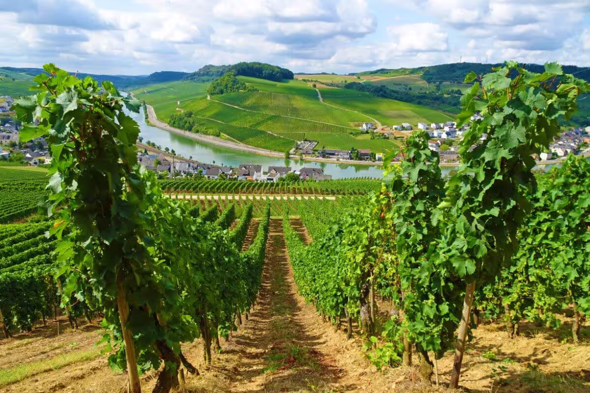 Mosel- & Eifelsteig - Von Perl nach Trier in 7 Tagen