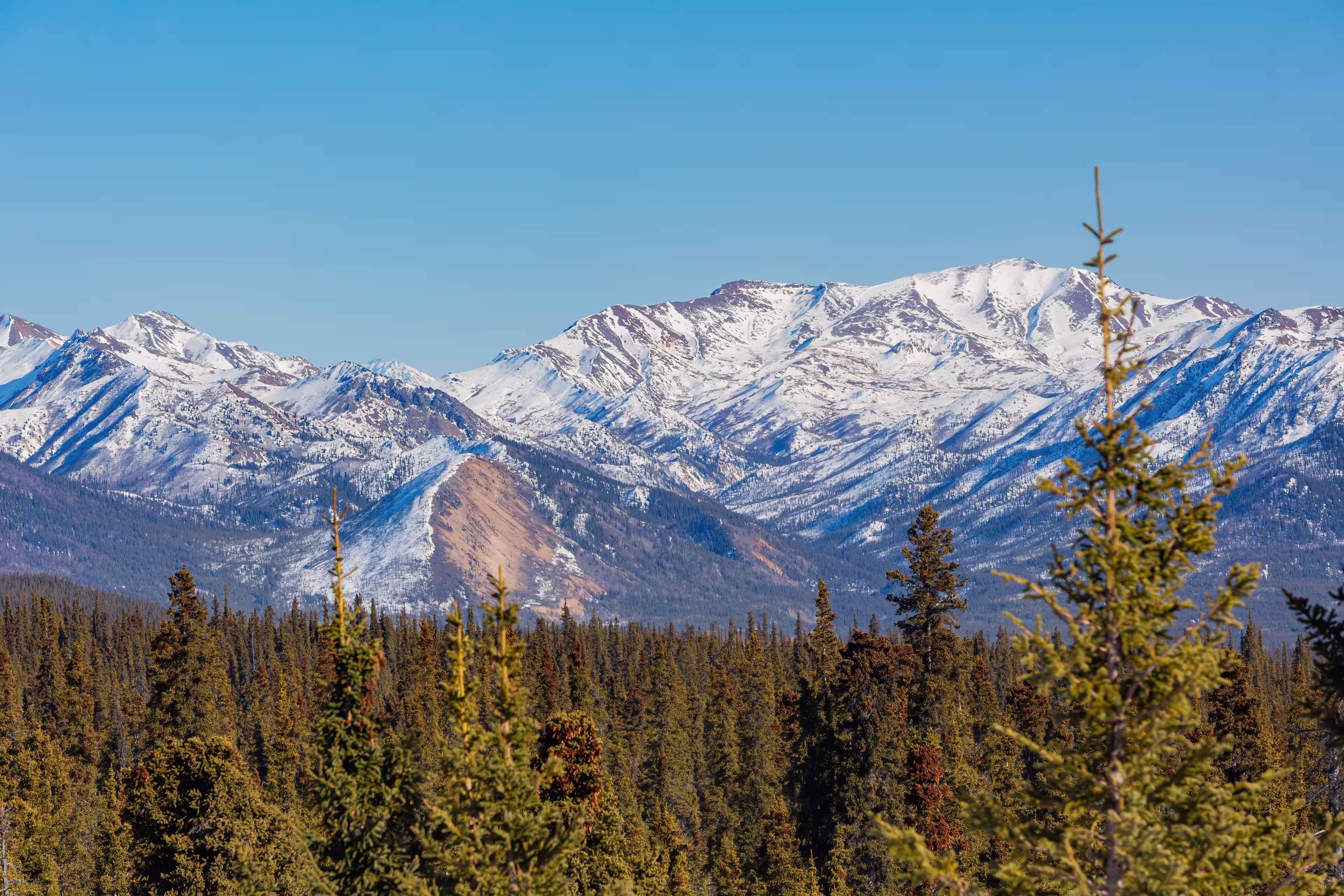 Landschaft im Denali Nationalpark