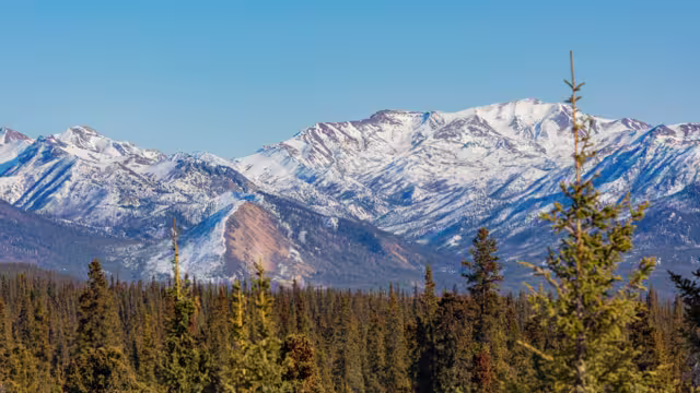 Landschaft im Denali Nationalpark