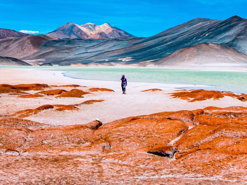Frau am Salzsee in der Atacama W?ste