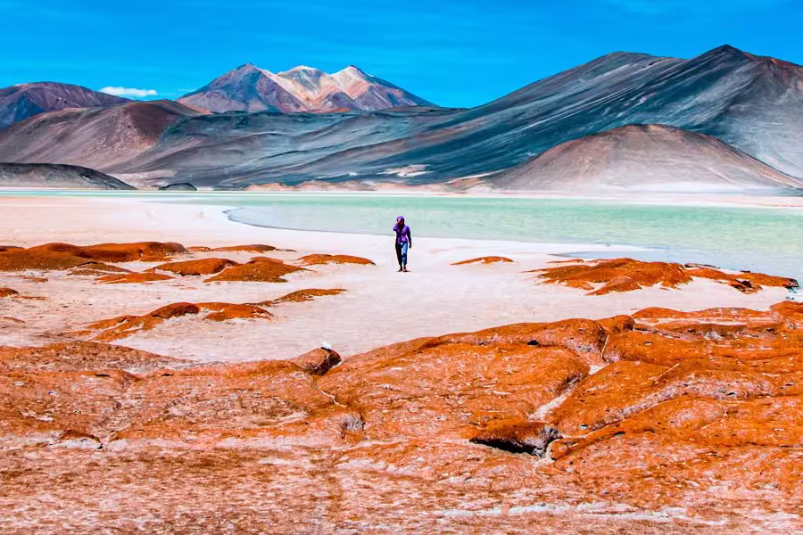 Frau am Salzsee in der Atacama W?ste