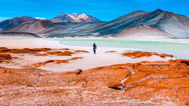 Frau am Salzsee in der Atacama W?ste