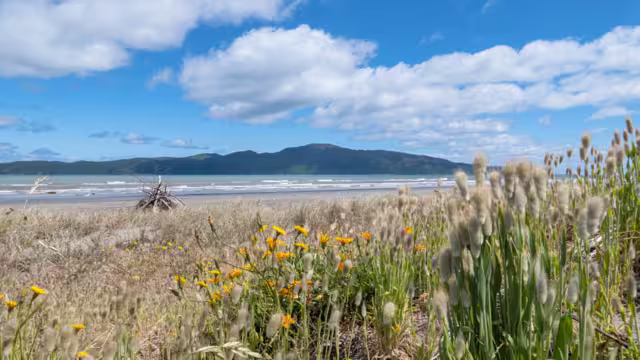 Kapiti Island Neuseeland