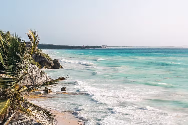 QBPN - Ruins and beach with palm trees in Tulum, Mexico