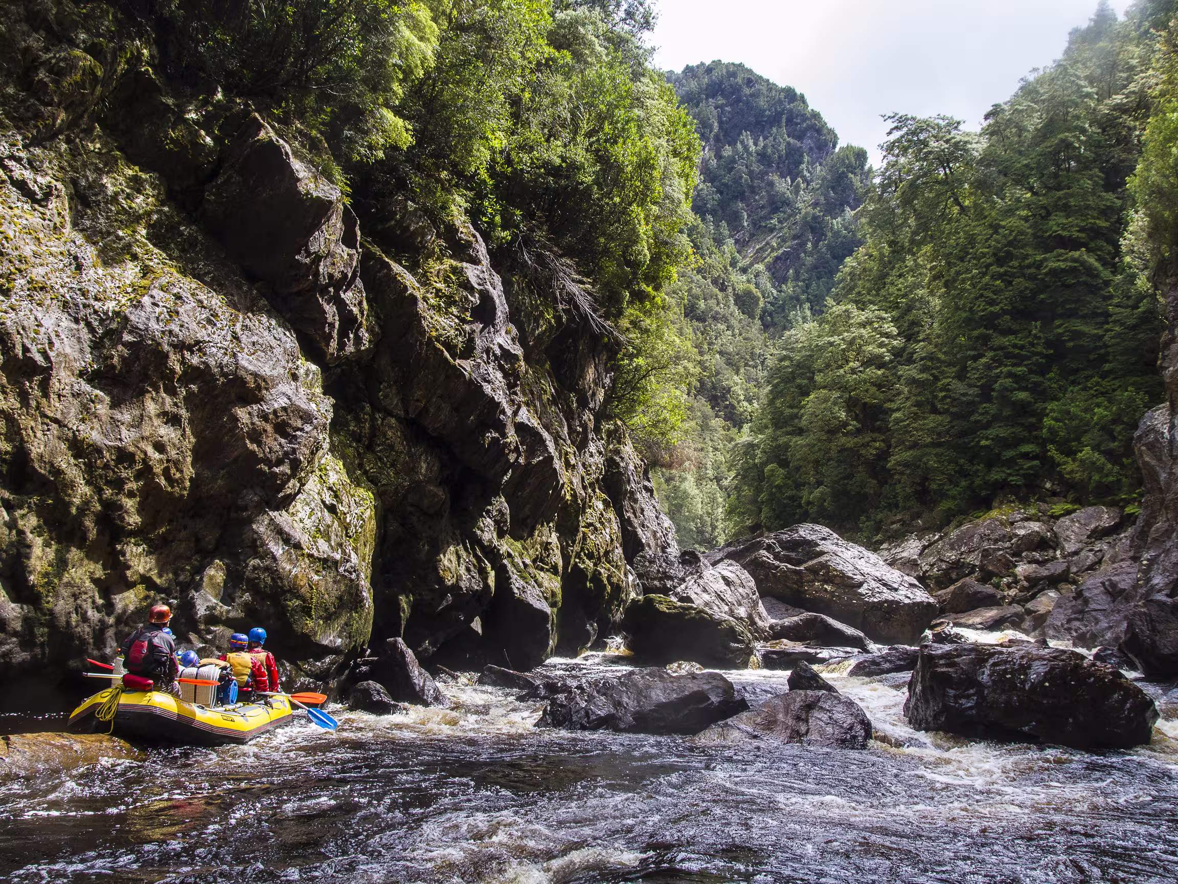 Rafting auf dem Franklin River