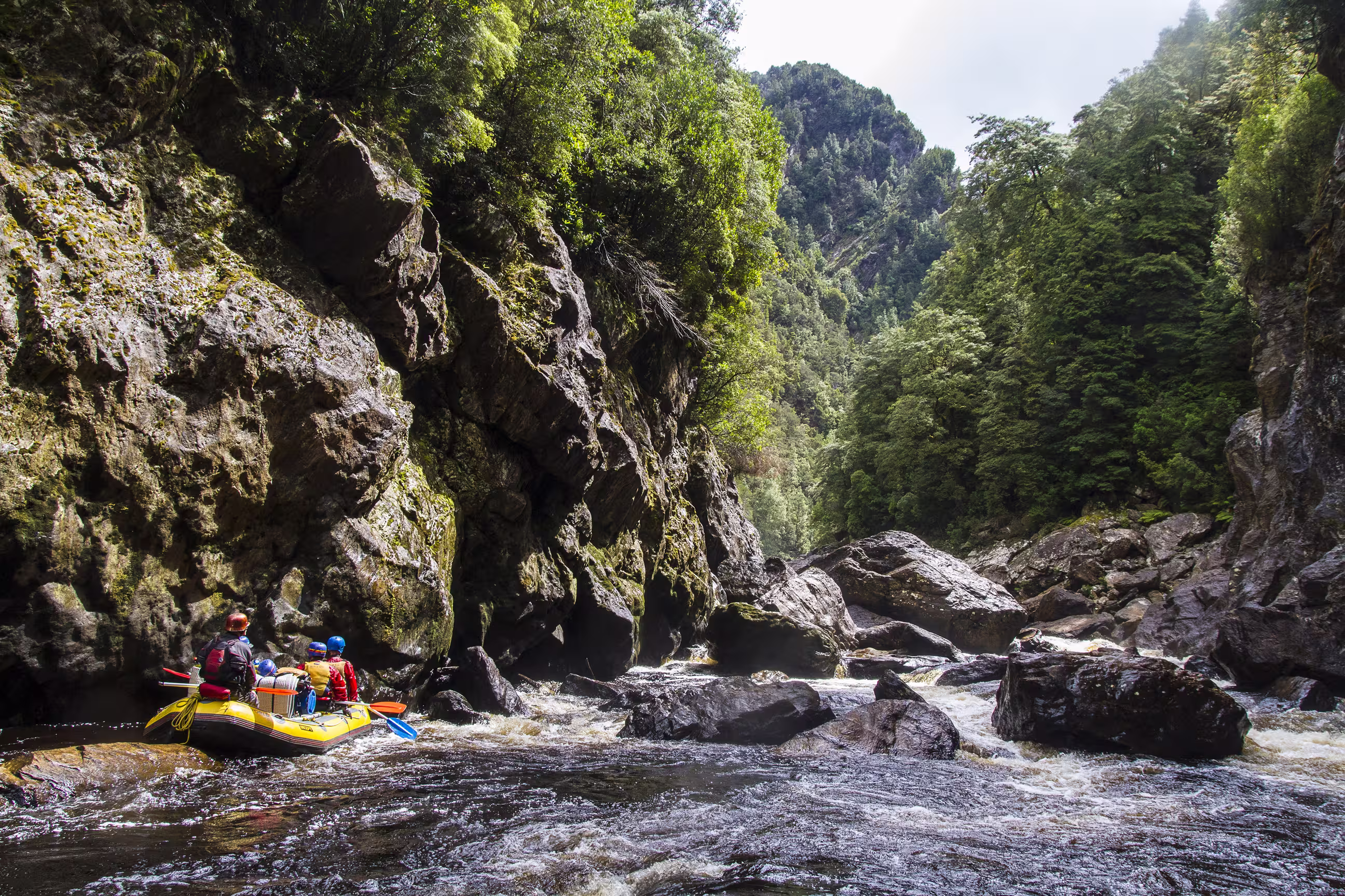 Rafting auf dem Franklin River