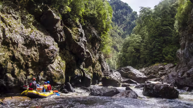 Rafting auf dem Franklin River