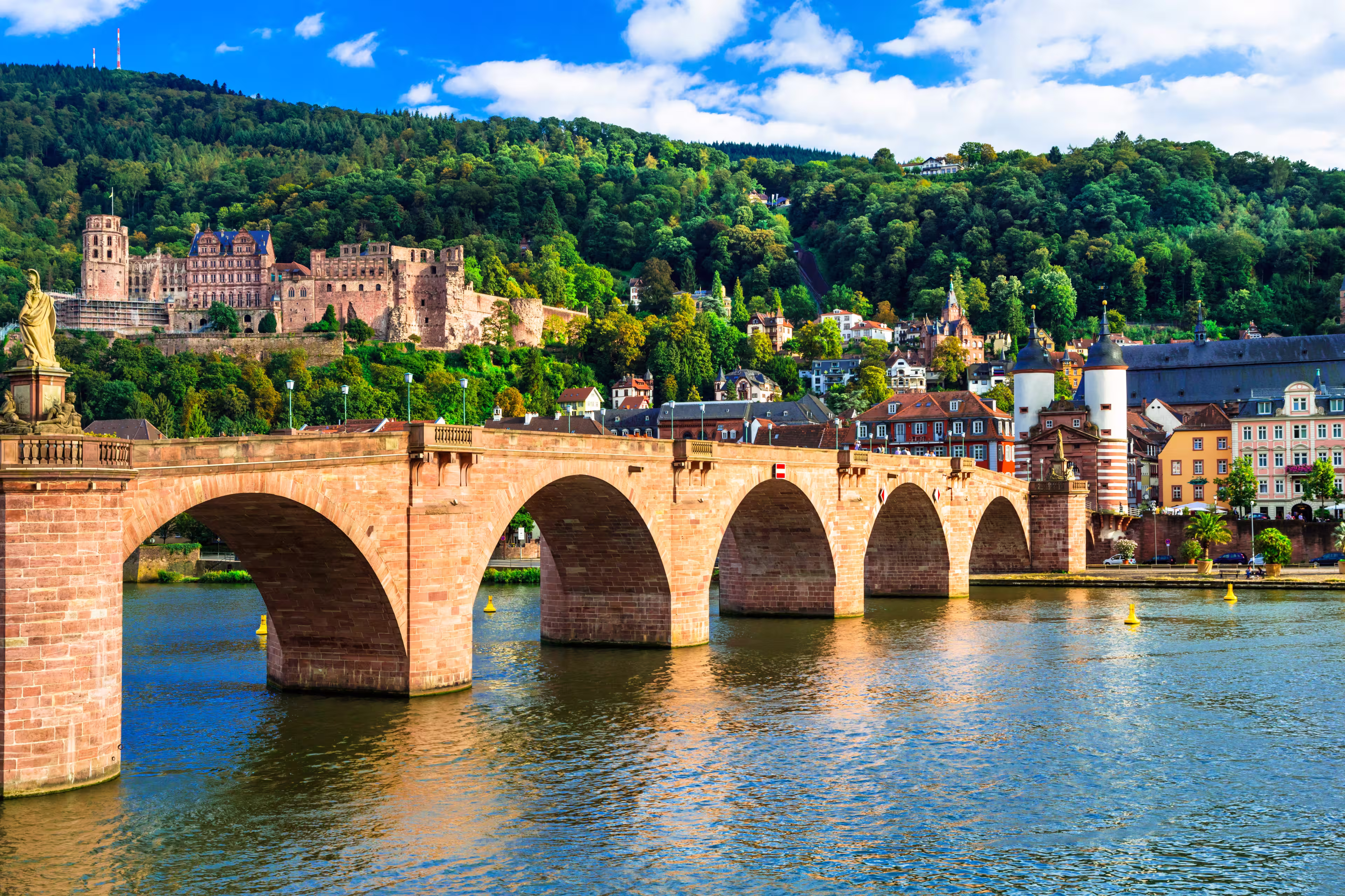 Winzertour am Rhein - Durch Weinreben zu den Kaiserdomen