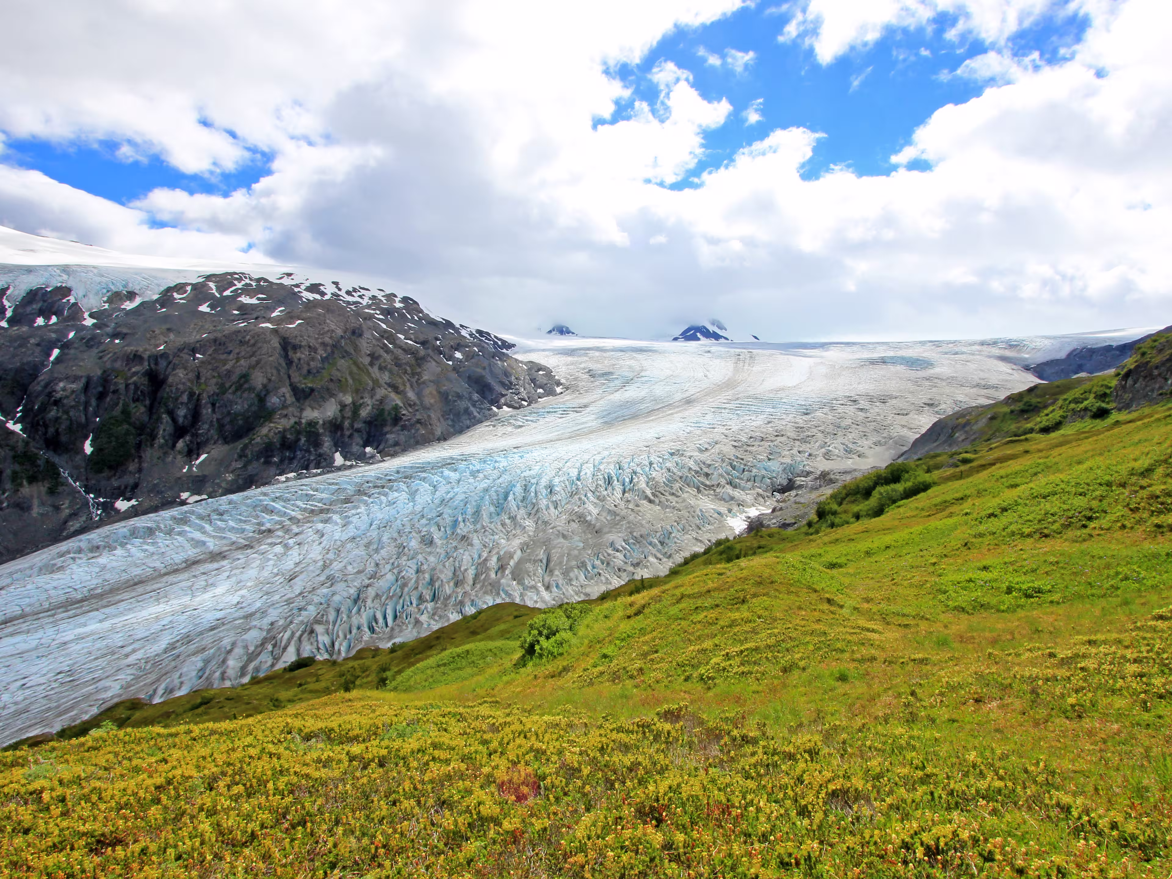 Exit Glacier, Harding Ice Field, Kenai Fjords National Park, Alaska, USA