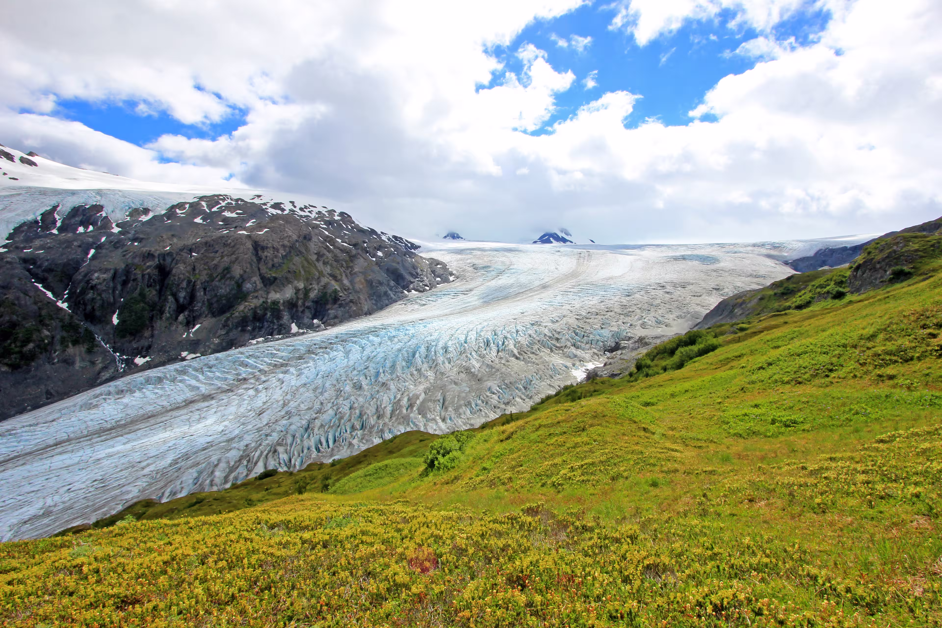 Exit Glacier, Harding Ice Field, Kenai Fjords National Park, Alaska, USA