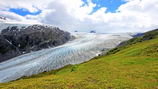 Exit Glacier, Harding Ice Field, Kenai Fjords National Park, Alaska, USA