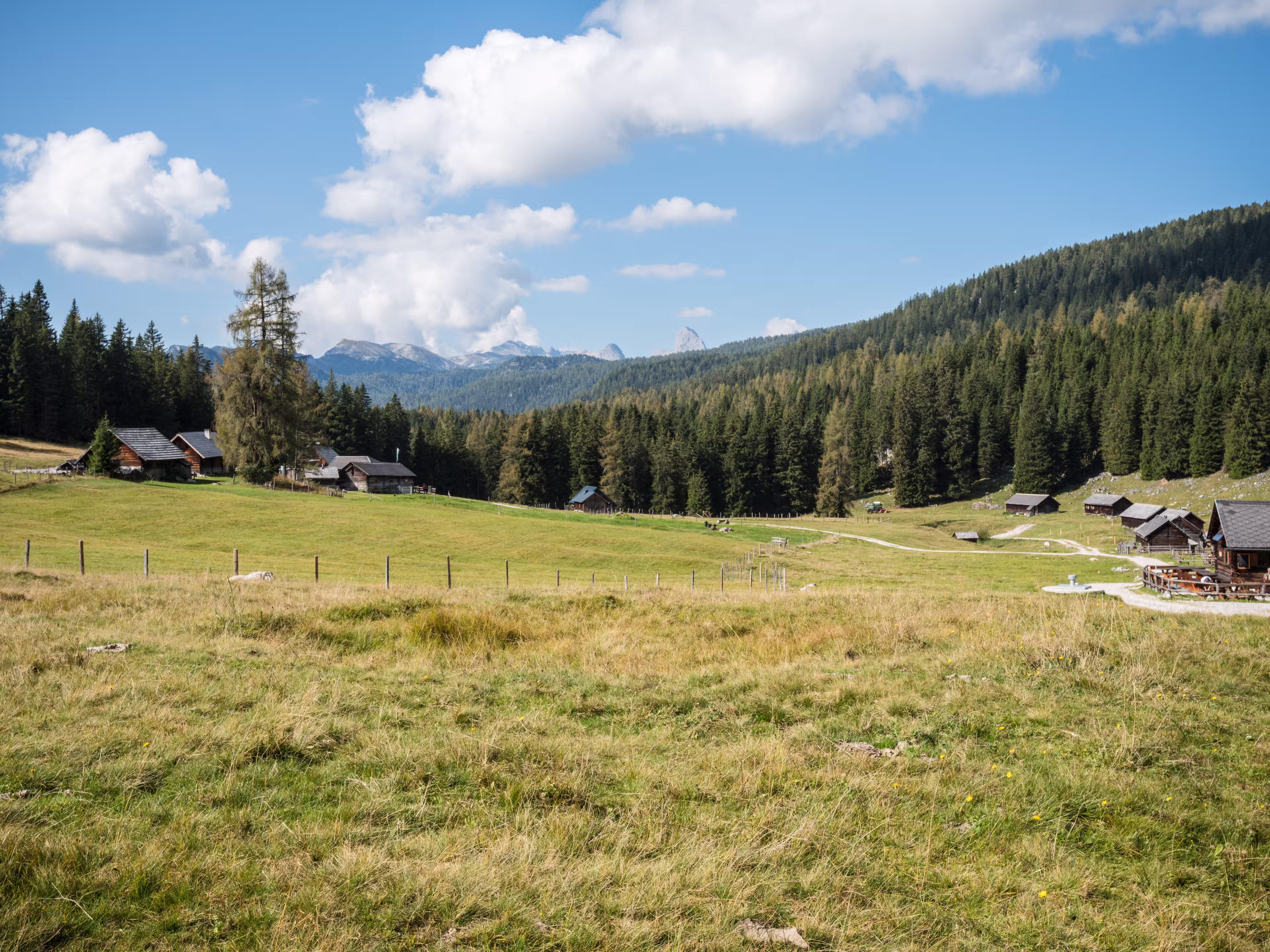 Viehbergalm