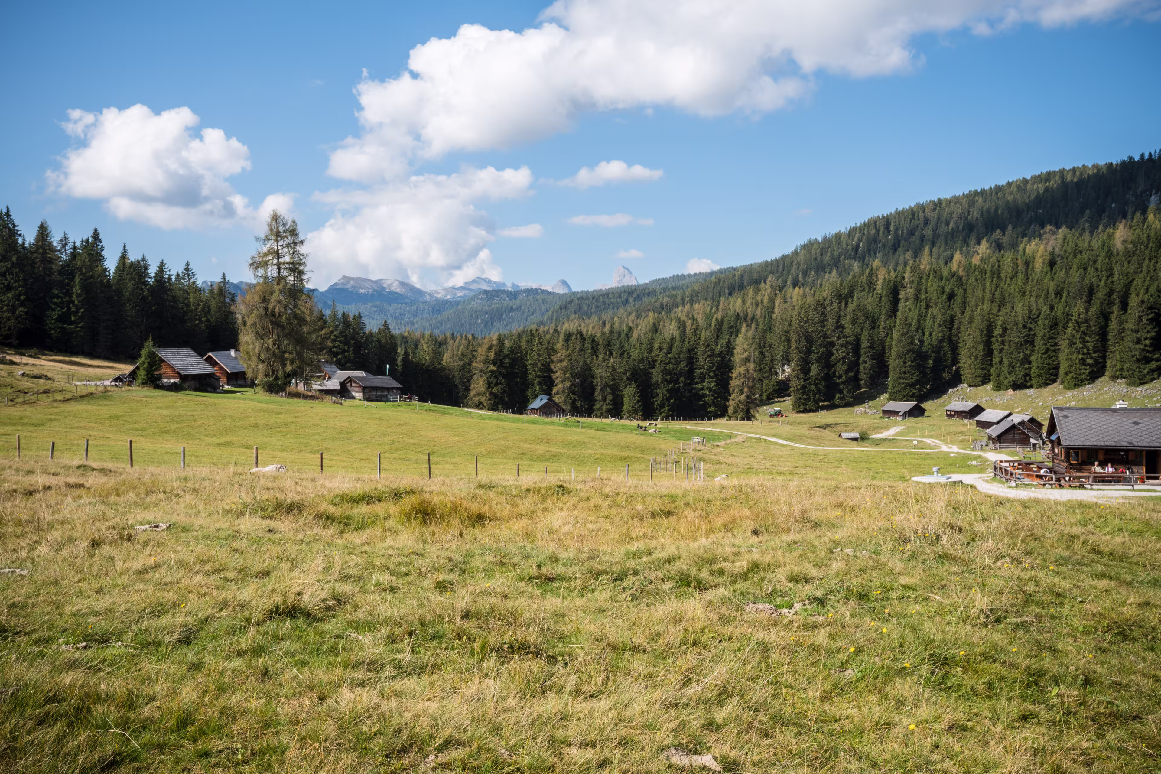 Viehbergalm