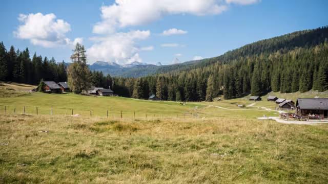 Viehbergalm