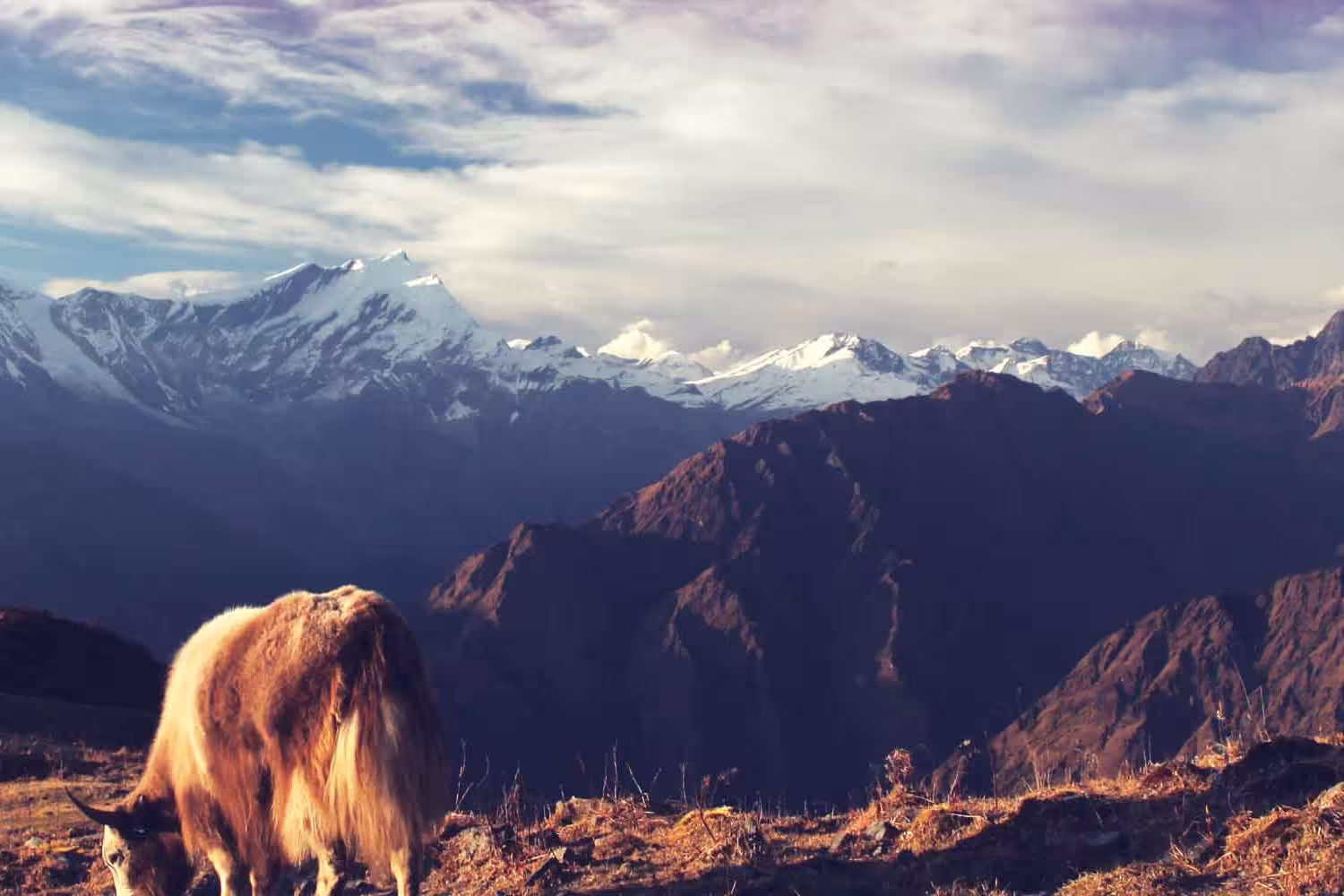 Essential Nepal - 1