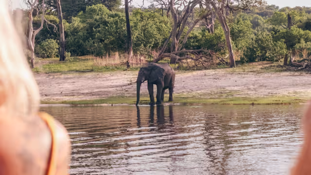 Two travellers look at an elephant across the river in Botswana