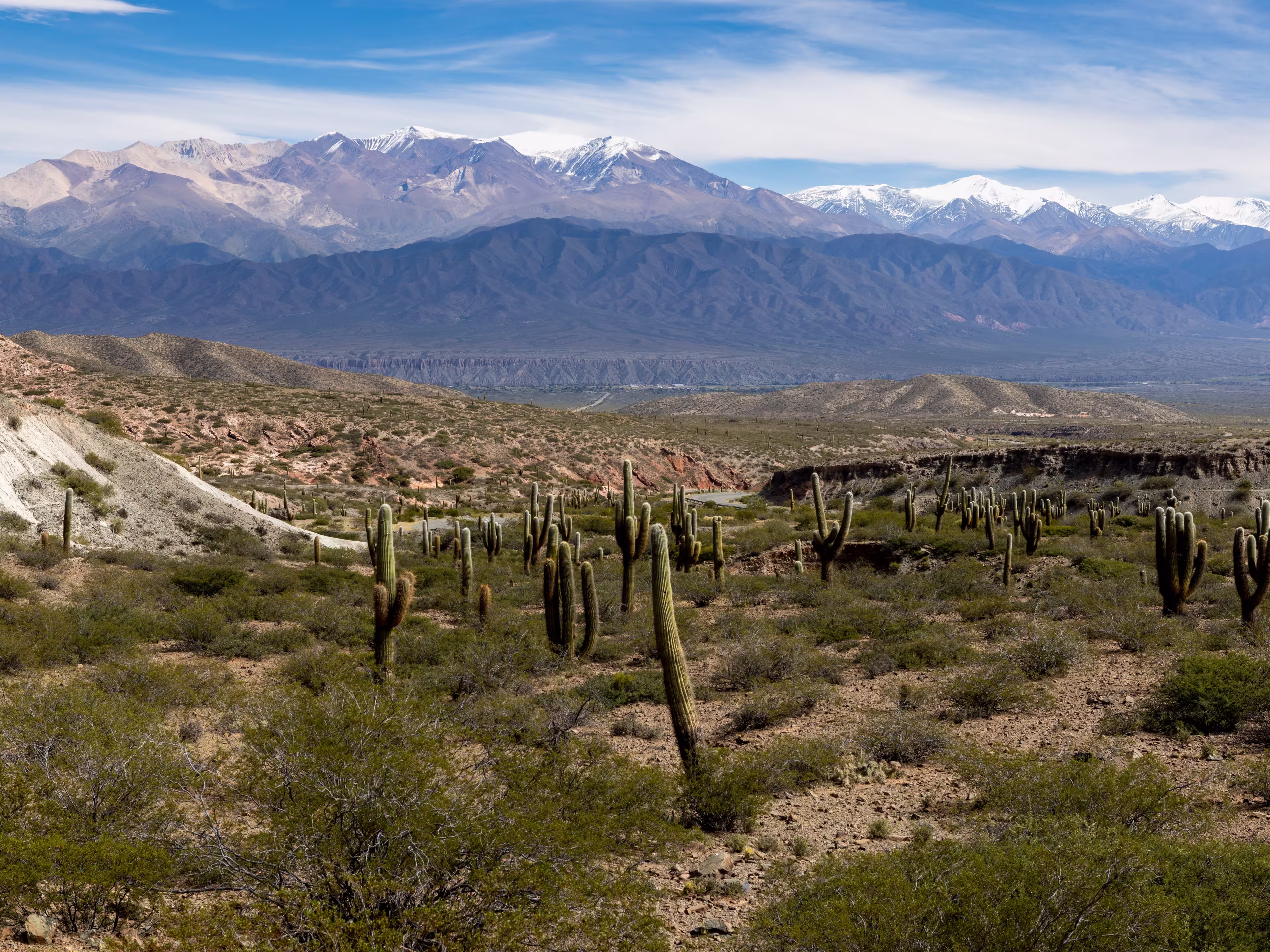 Scenic drive from Cachi to Salta - beautiful landscape around the Los Cardones National Park in Argentina, South America