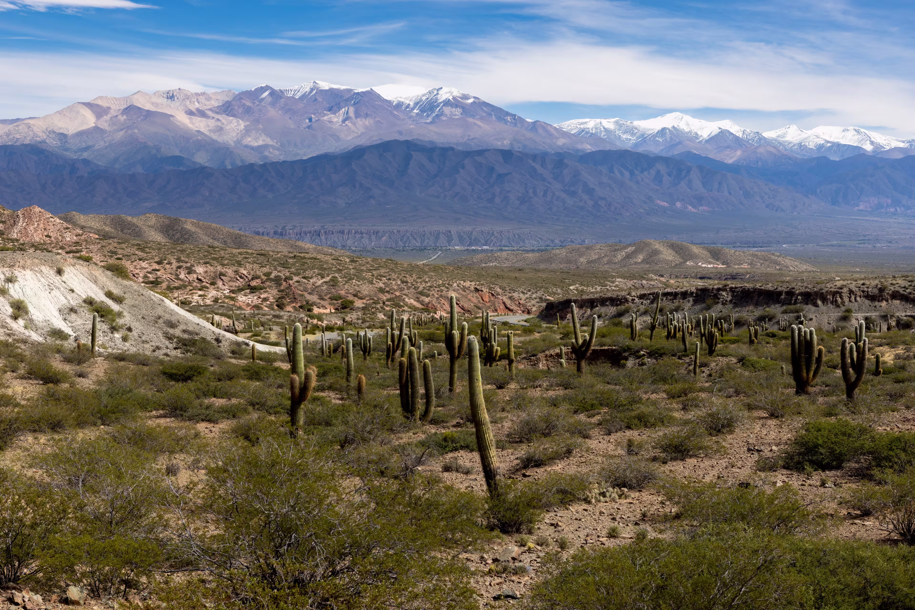 Scenic drive from Cachi to Salta - beautiful landscape around the Los Cardones National Park in Argentina, South America