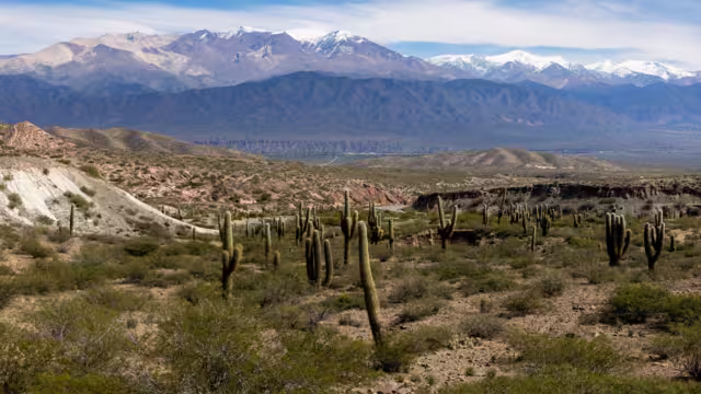 Scenic drive from Cachi to Salta - beautiful landscape around the Los Cardones National Park in Argentina, South America