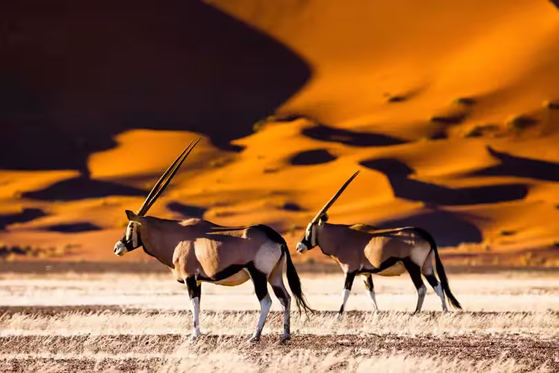 Namibia – Wandern durch die Wunderwelt der Wüsten