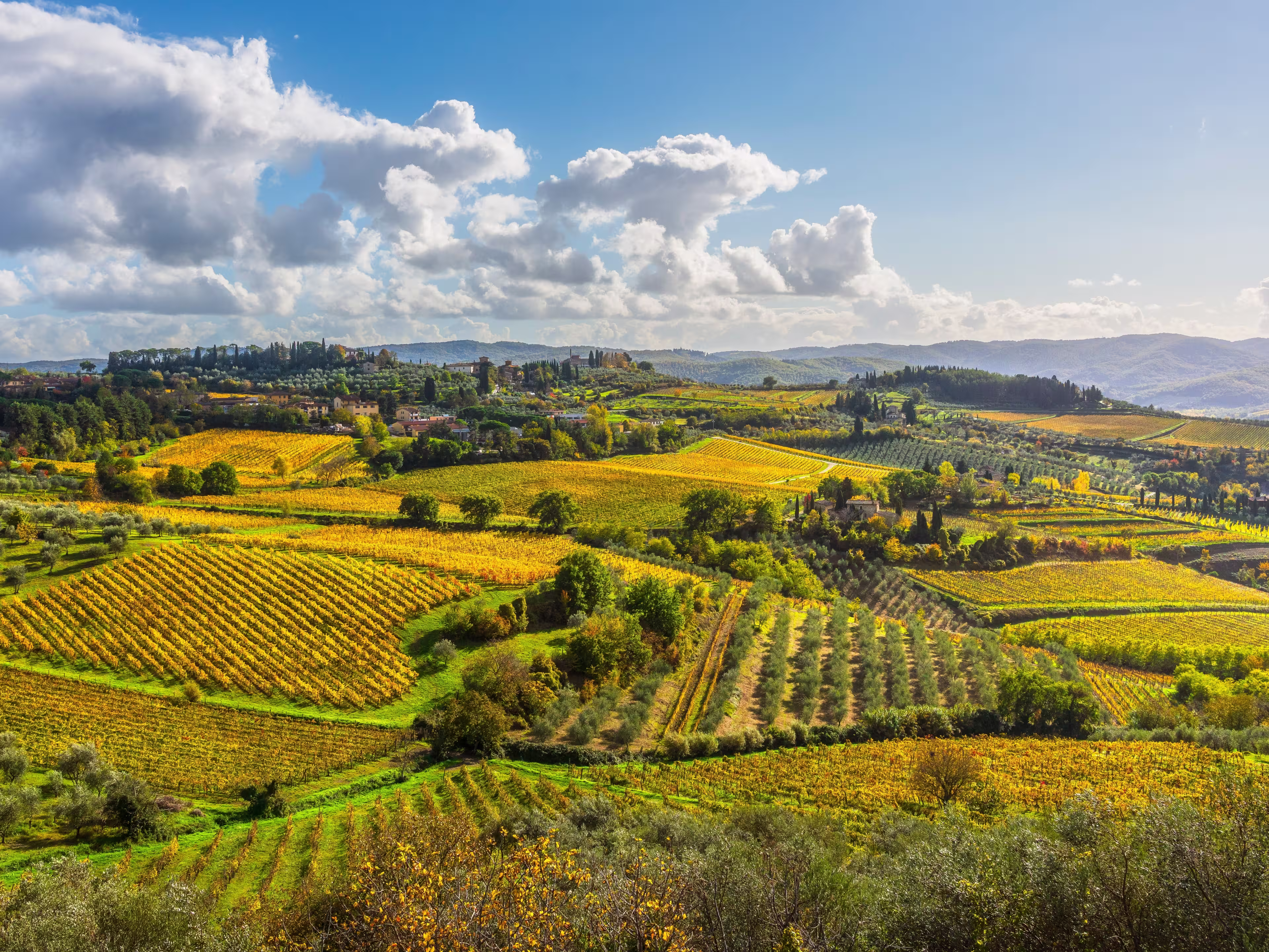 Panoramic view of the Chianti landscape near Panzano in Chianti, Tuscany, Italy. Rolling hills are covered in a patchwork of vineyards and olive groves.