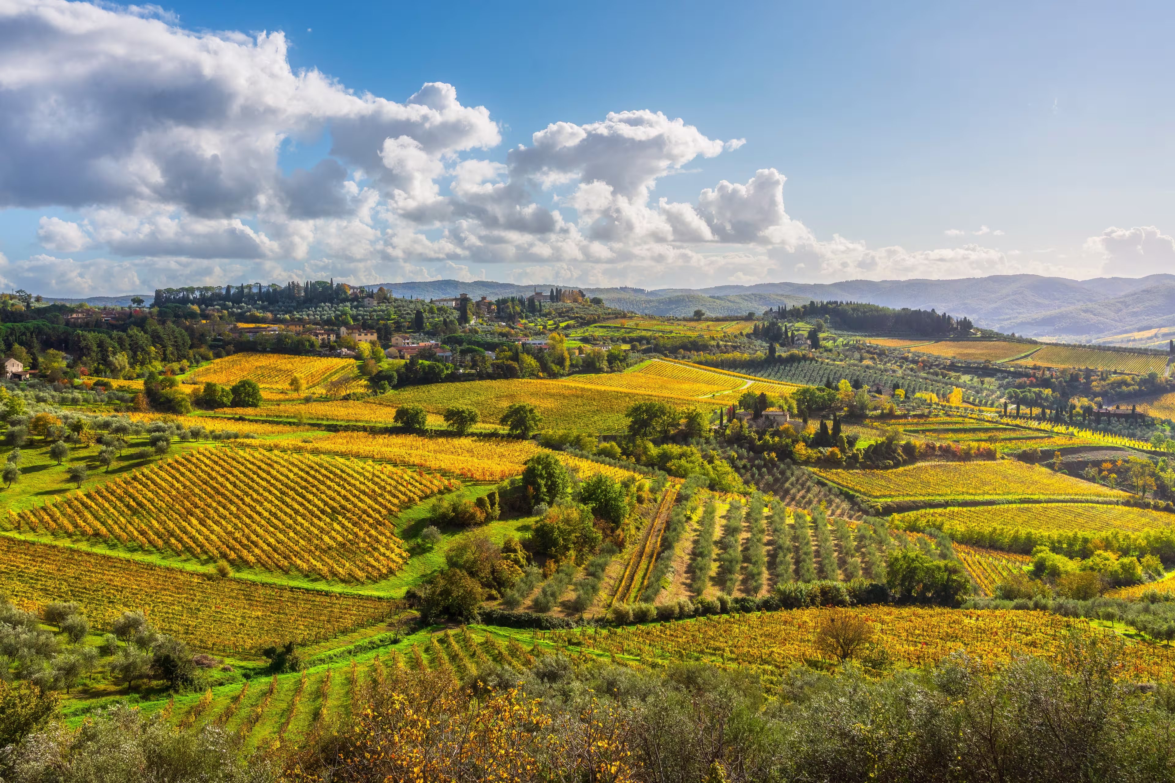 Panoramic view of the Chianti landscape near Panzano in Chianti, Tuscany, Italy. Rolling hills are covered in a patchwork of vineyards and olive groves.
