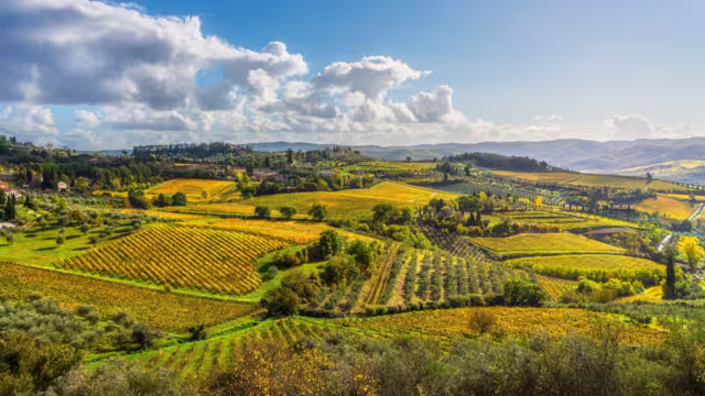 Panoramic view of the Chianti landscape near Panzano in Chianti, Tuscany, Italy. Rolling hills are covered in a patchwork of vineyards and olive groves.