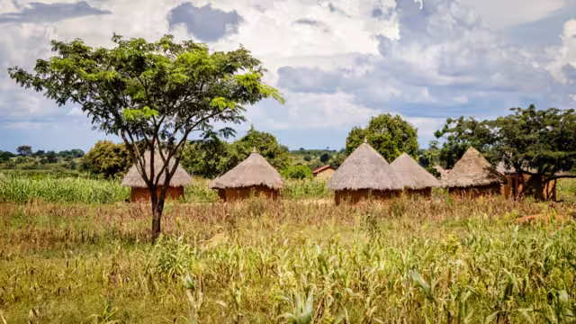 Typical Uganda huts. Most of the inhabitants live in thatched huts with mud and wattle walls. During the rainy season it is a very difficult task to keep huts stable and dry.