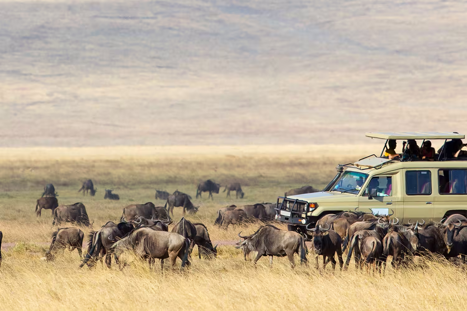 Serengeti game drive