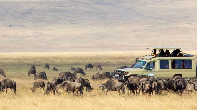 Serengeti game drive
